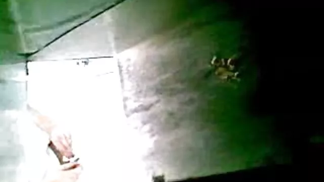5 porn video